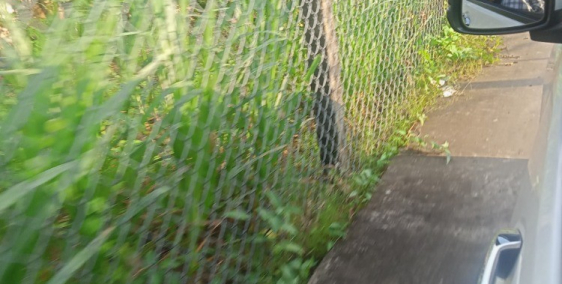 Bán đất thổ cư ở Long An xã Thanh Phú Long