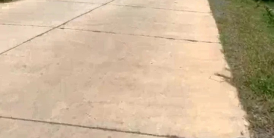 Đất mẫu cao su khai thác châu thành tây Ninh