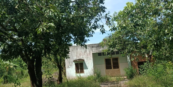 BÁN SÀO ĐẤT KCN ĐỊNH QUÁN CHO CON GÁI ÚT ĐI DU HỌC