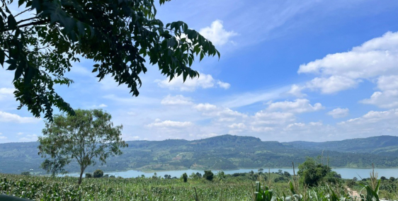 Bán 1005m2 đất đầu tư nghỉ dưỡng view Sông Đồng Nai, Lâm Hà giá chỉ 925tr