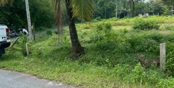 Bán nhanh lô đất mặt tiền đường nhựa An Nhơn Tây Củ Chi