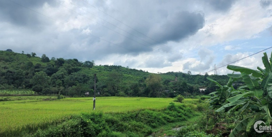 Chính chủ bán gấp 800m Đất Thị Trấn chỉ 500tr quá rẻ đầu tư