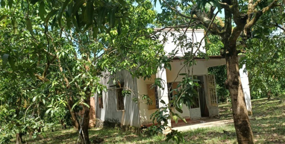 CẦN VỐN LÀM ĂN BÁN NHANH SÀO ĐẤT KCN ĐỊNH QUÁN