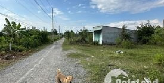 Đất vườn đ.nhà nước một sẹc phạm thái bường xe hơi tới tận đất