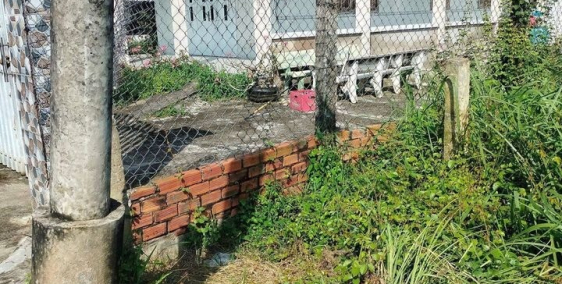 Gia đình cần bán nhà cấp 4 ở Tân An Hội Củ Chi - Sổ Sẳn - 110m2