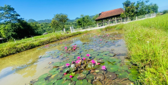 Quá Đẹp để Nghỉ Dưỡng ko nên bỏ lỡ 1800m Phú Cường Tân Lạc Hoà Bình giá cực rẻ
