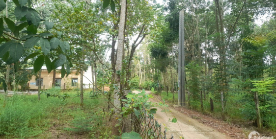 Đất ở khu dân cư, an ninh tuyệt đối