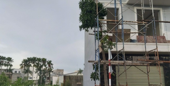 Chị Gái Cần Bán Gấp Lô Đất Ở Tân Đông Hiệp Dĩ An