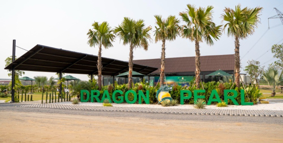 100 nền vip 10 nền ngoại giao giai đoạn 3 dự án dragon pearl giá chỉ 22tr 1m2