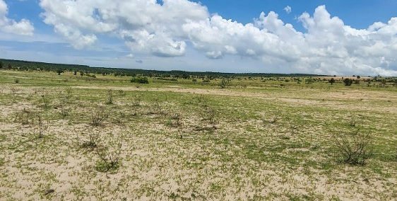 GẤP GẤP!!! Lô Sông Lũy hơn 8 sào shr có đường trên sổ. Giá chỉ 125k/m2