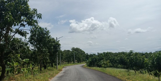 Gia đình cần bán lô đất vườn xoài của nằm ngay phía sau UBND La Ngà