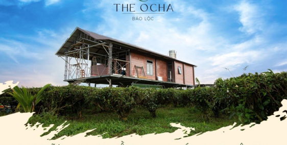 THE OCHA ĐẤT NGHĨ DƯỠNG BẢO LỘC
