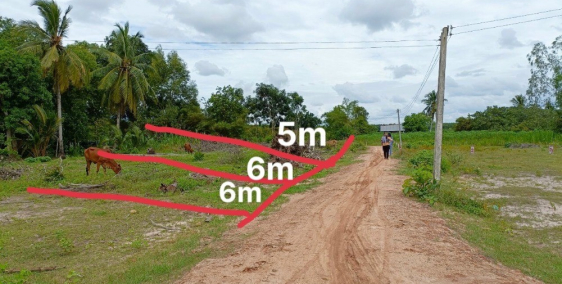 3 lô Tân Phong - Tân Biên - Tây Ninh giá thấp nhất thị trường