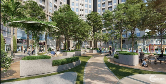 Bán suất ngoại giao Shophouse chân đế dự án Dragon Castle cạnh siêu thị AEON MAI