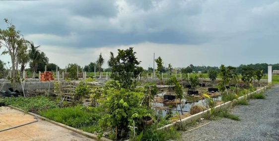 DT ngang 25m2 - Đất vườn giá rẻ - Phước Vĩnh An Củ Chi