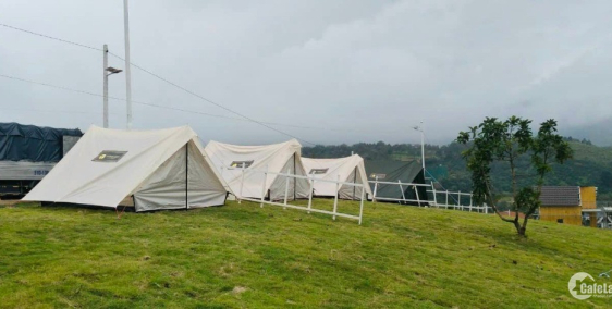 mua đất tặng homestay ba trăm triệu