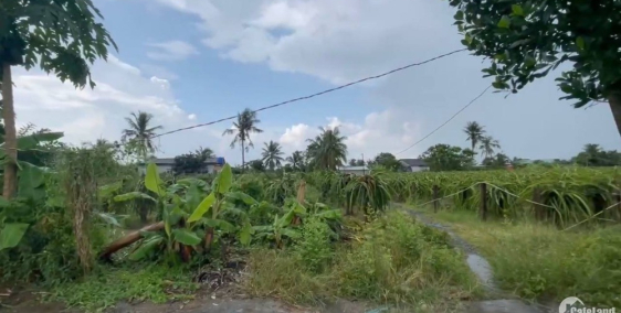 Tôi cần bán đất Châu Thành - Long An