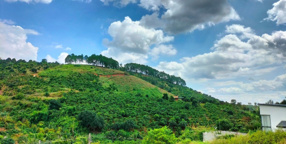 Chính Chủ Bán Đất Ven Đà Lạt Giá Rẻ, sổ hồng sẵn thổ cư, vị trí đẹp