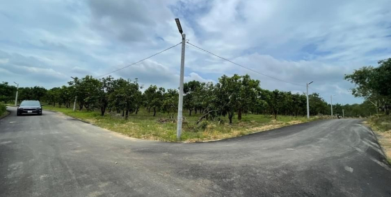 BÁN SÀO ĐẤT KCN ĐỊNH QUÁN TRẢ NỢ NGÂN HÀNG