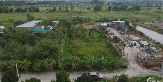 chính chủ gửi bán lô đất 1000m2 đường oto bán gấp