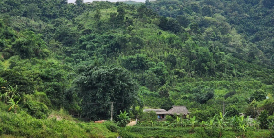 Cơ hộ Vàng Chỉ 150k/m có ngay 2,2 ha thổ cư sẵn nhà bám hồ Cực Đẹp ko nên bỏ lỡ