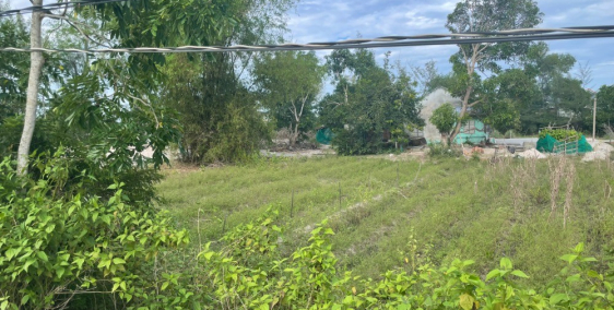 chủ cần tiền cho con đi học đại học cần bán lô đất thổ cư Thăng Bình