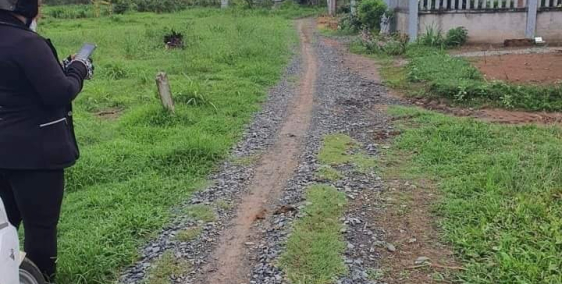 Cần bán 309m² (10 x 31) đất CLN, Sổ riêng, bao giấy tờ Tiền Giang