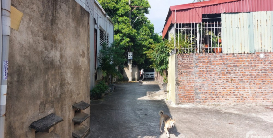 Đất thổ cư trung tâm thành phố, cách bệnh viện tỉnh 500m, giá công nhân