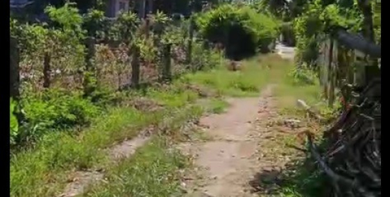 CHÍNH CHỦ CẦN BÁN LÔ ĐẤT ĐẸP RÌA HỘI AN SÁT SÔNG, SÁT RUỘNG LÚA TẠI XÃ DUY PHƯỚC