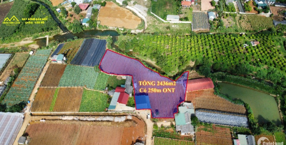 Bán mảnh đất 3000m tại đông sang Mộc Châu view đẹp giá hấp dẫn cho nhà đầu tư