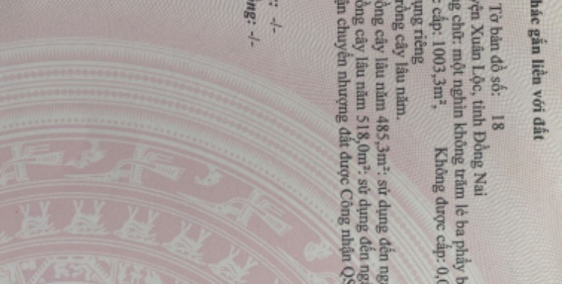 Bán đất khu dân cư hiện hữu tiếp giáp Tp Long Khánh