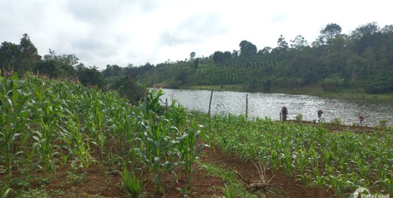 Đất xào view hồ, có nhà mới xây  khuôn viên đẹp tại Daksong, Daknong