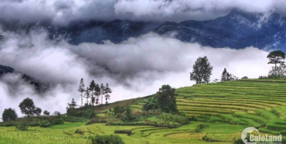 ĐẤT NỀN Y TÝ – SAPA ĐÓN SÓNG QUY HOẠCH SÂN BAY, CAO TỐC