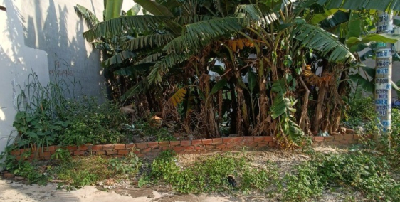 Xả lỗ! 3.75Tỷ/115m2 (32tr/m2) Đất Full Thổ Hẻm chuẩn 6m 1/Thạnh Lộc 37