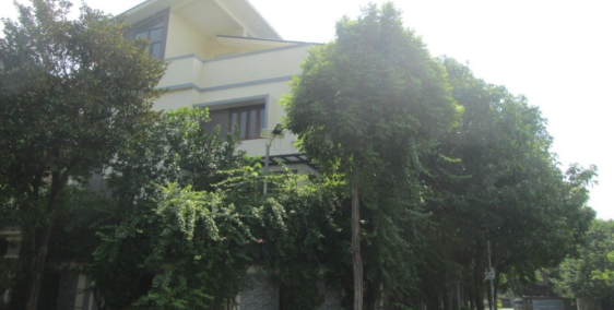 Biệt thự Hoa Phượng BT1 BT13 lô Góc cạnh Vinhomes Thăng Long 310m2 chỉ 25.26 tỷ.