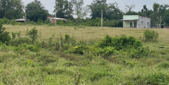 CẦN bán 7800m2 đất măt tiền nhựa xã xuân Bắc