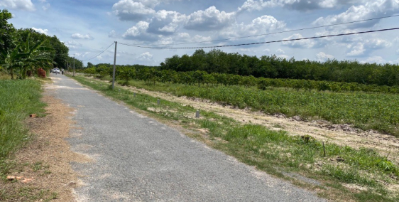 ĐẤT THÀNH PHỐ TÂY NINH GIÁ RẺ CƠ HỘI TỐT ĐỂ ĐẦU TƯ