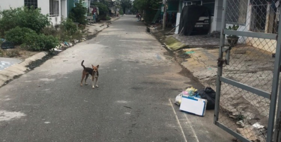 Nhà cấp 4 trung tâm phan thiết- mặt tiền đường nhựa 5m