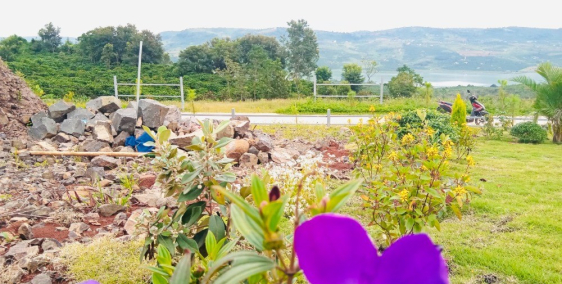 BÁN ĐẤT LÀNG TÂN SƠN GARDEN NGHỈ DƯỠNG ĐẦY TIỀM NĂNG VẦ PHÁT TRIỂN