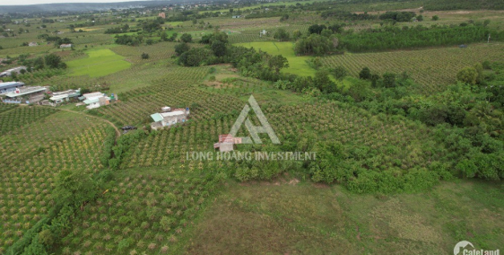 Tuyệt phẩm đất Hàm Thuận FARMSTAY hơn 5000m2 đã có thổ cư