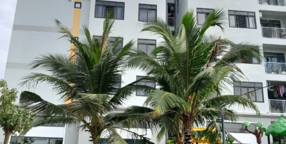 Nhanh tay chỉ còn 1 căn duy nhất, chỉ 448 triệu có thể sở hữu ngay căn hộ