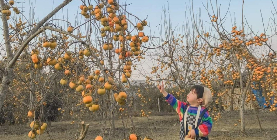 cần bán lô đất Mộc Châu-phiêng luông,diện tích rộng,có thổ cư