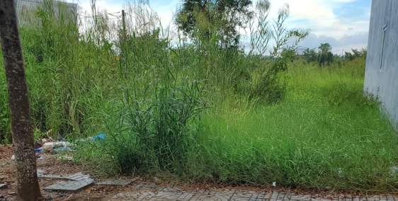 Đất bella vista giá ngộp 7tr5/m(85m)