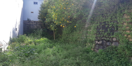 chính chủ bán đất liên kế hẻm ô tô 7 chỗ đường ngô quyền, p6, Diện tích 96m2,