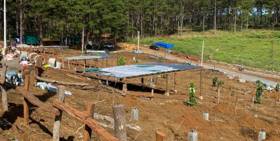 Khu nghỉ dưỡng Vườn An Nhiên_ Hạnh phúc nơi tiên cảnh.