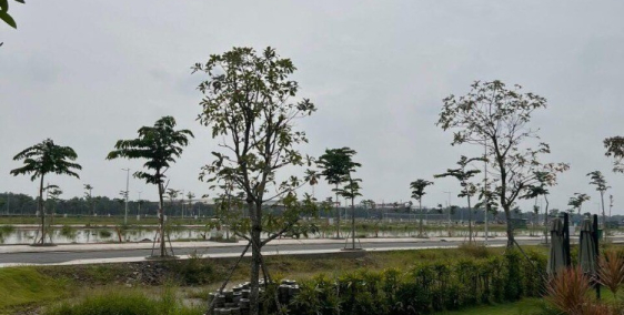 Đất nền TP Đức Hòa giáp ranh Bình Chánh shr giá 18tr/m2 chiết khấu ít nhấu 5%