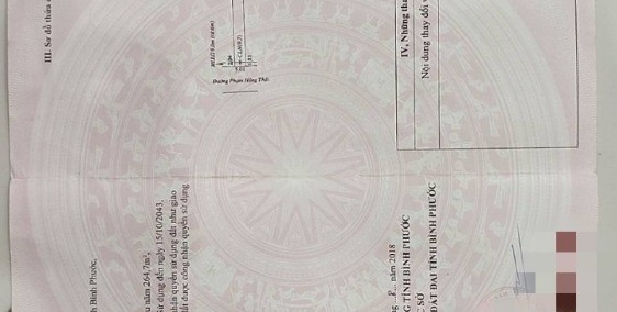 CHÍNH CHỦ BÁN ĐẤT 2 MẶT TIỀN QL13 VÀ PHẠM HỒNG THÁI TẶNG NGÔI NHÀ CẤP 4, NỘI THẤ