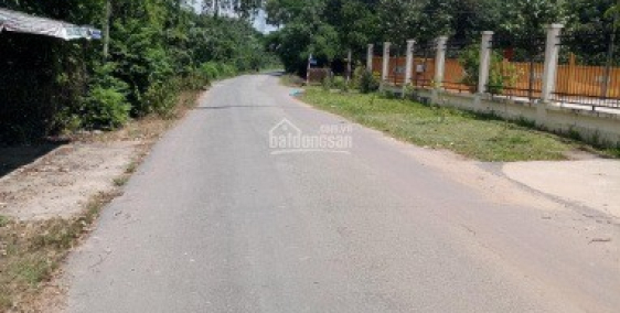 Bán đất mặt tiền lộ nhựa chính chủ