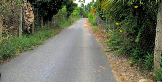 Chủ ngộp bán gấp đất vườn 1000m2 (300m2 thổ) ở Tân An Hội Củ Chi – 1tỷ5 sang tên