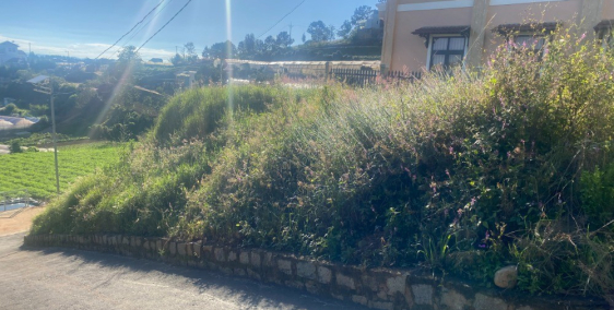 Đất Biệt Thự View Săn Mây - 2 Mặt Tiền Đường Ô TÔ - Xuân Thọ Đà Lạt